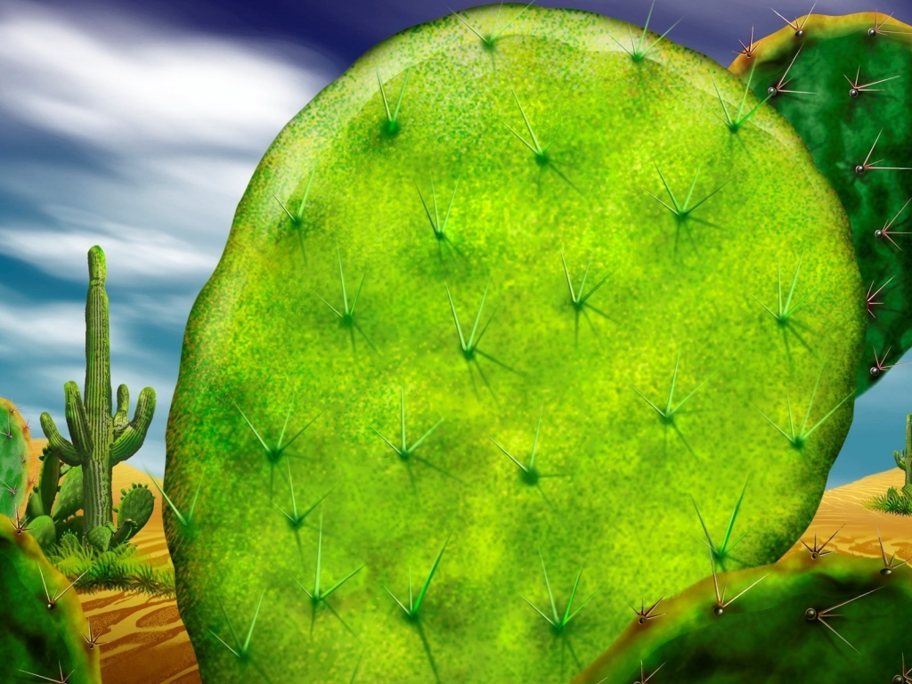 Cactus for 1024 x 768 resolution