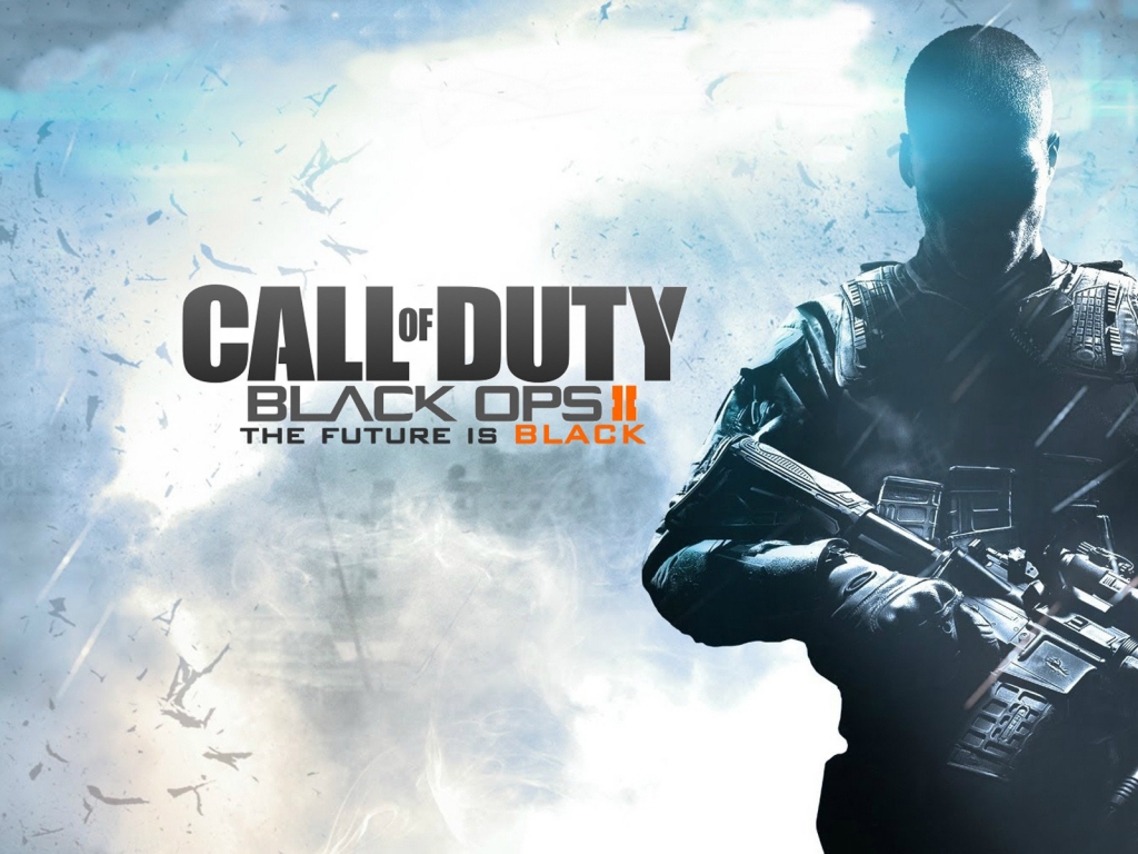 Call of Duty Black Ops 2 for 1024 x 768 resolution