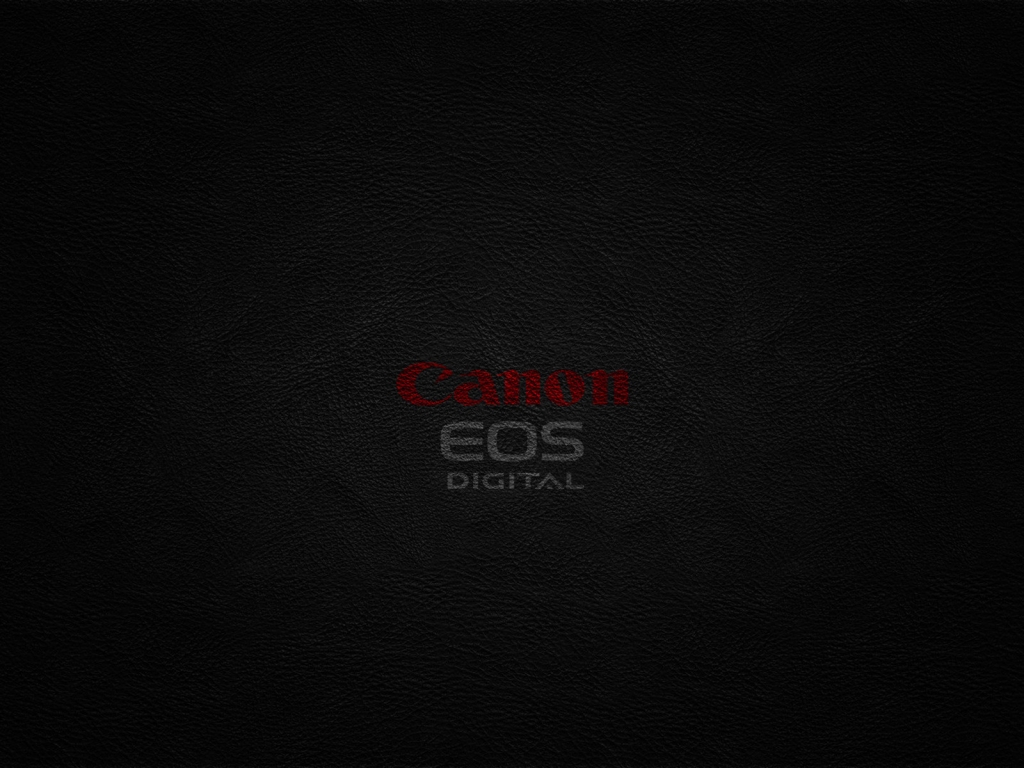 Canon EOS for 1024 x 768 resolution