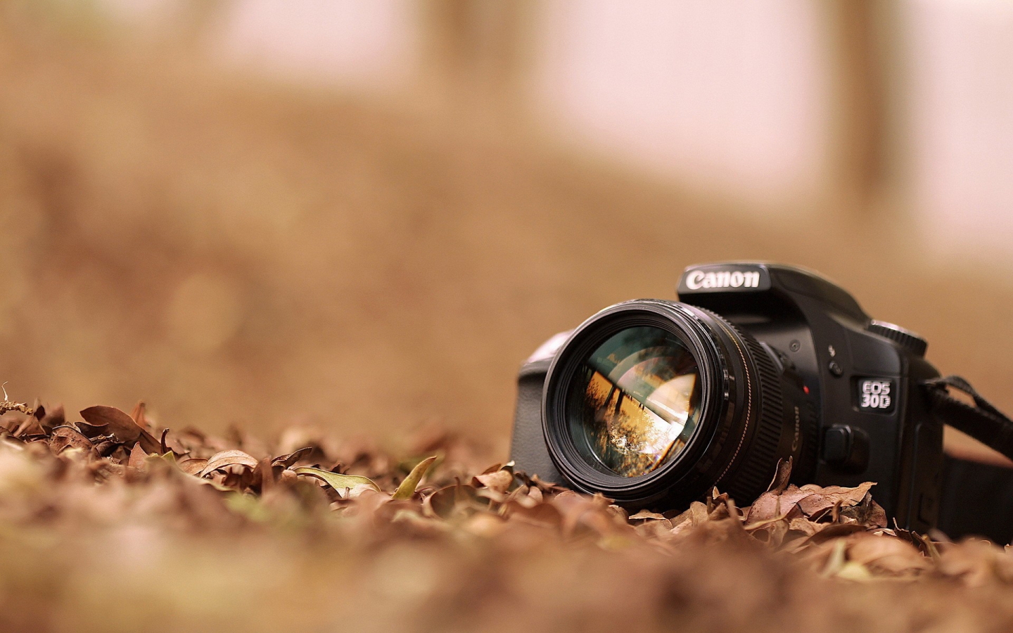 Canon EOS 30D for 1440 x 900 widescreen resolution