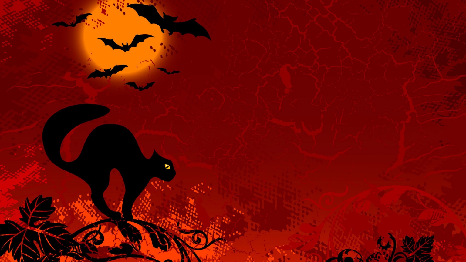 Cat Ready for Halloween for 1536 x 864 HDTV resolution