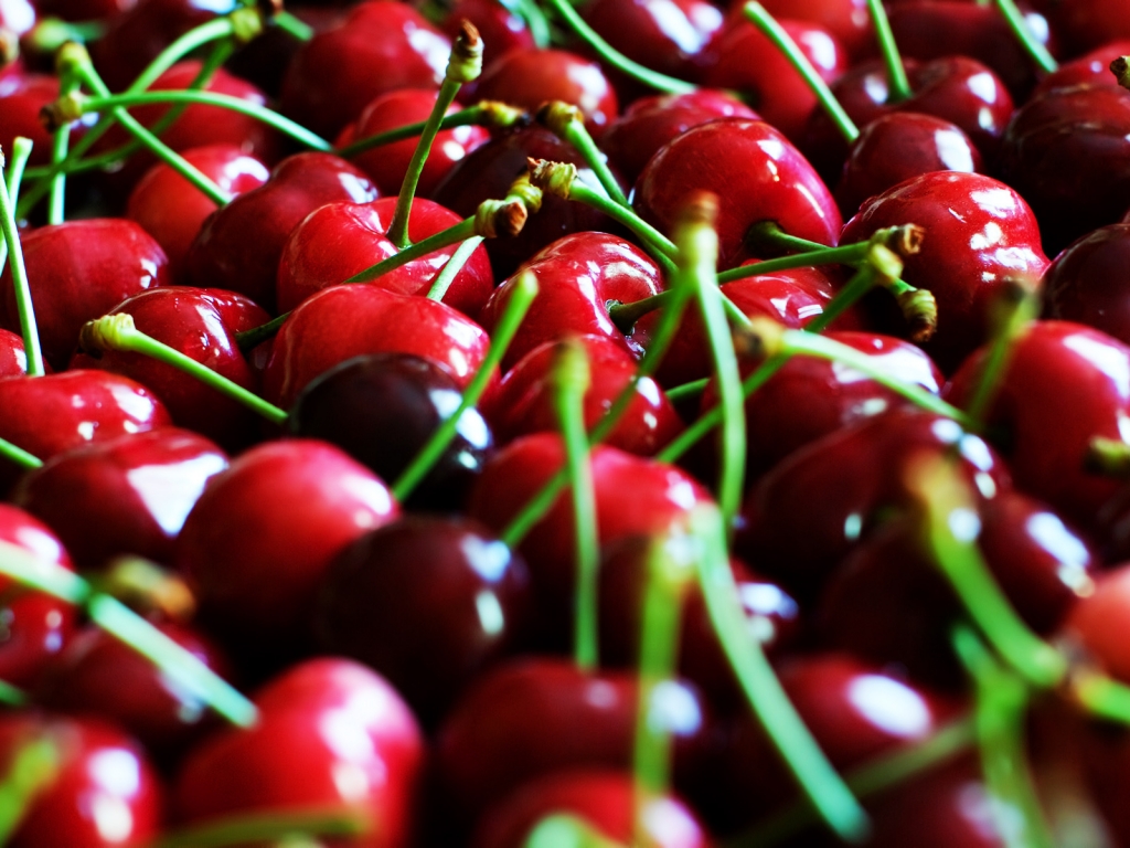 Cherry for 1024 x 768 resolution
