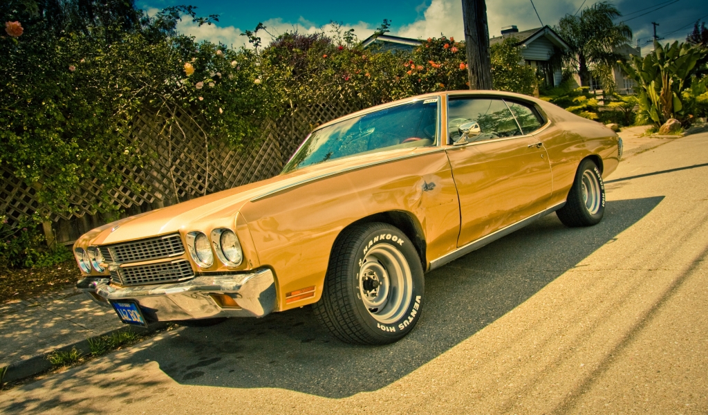 Chevrolet Chevelle for 1024 x 600 widescreen resolution