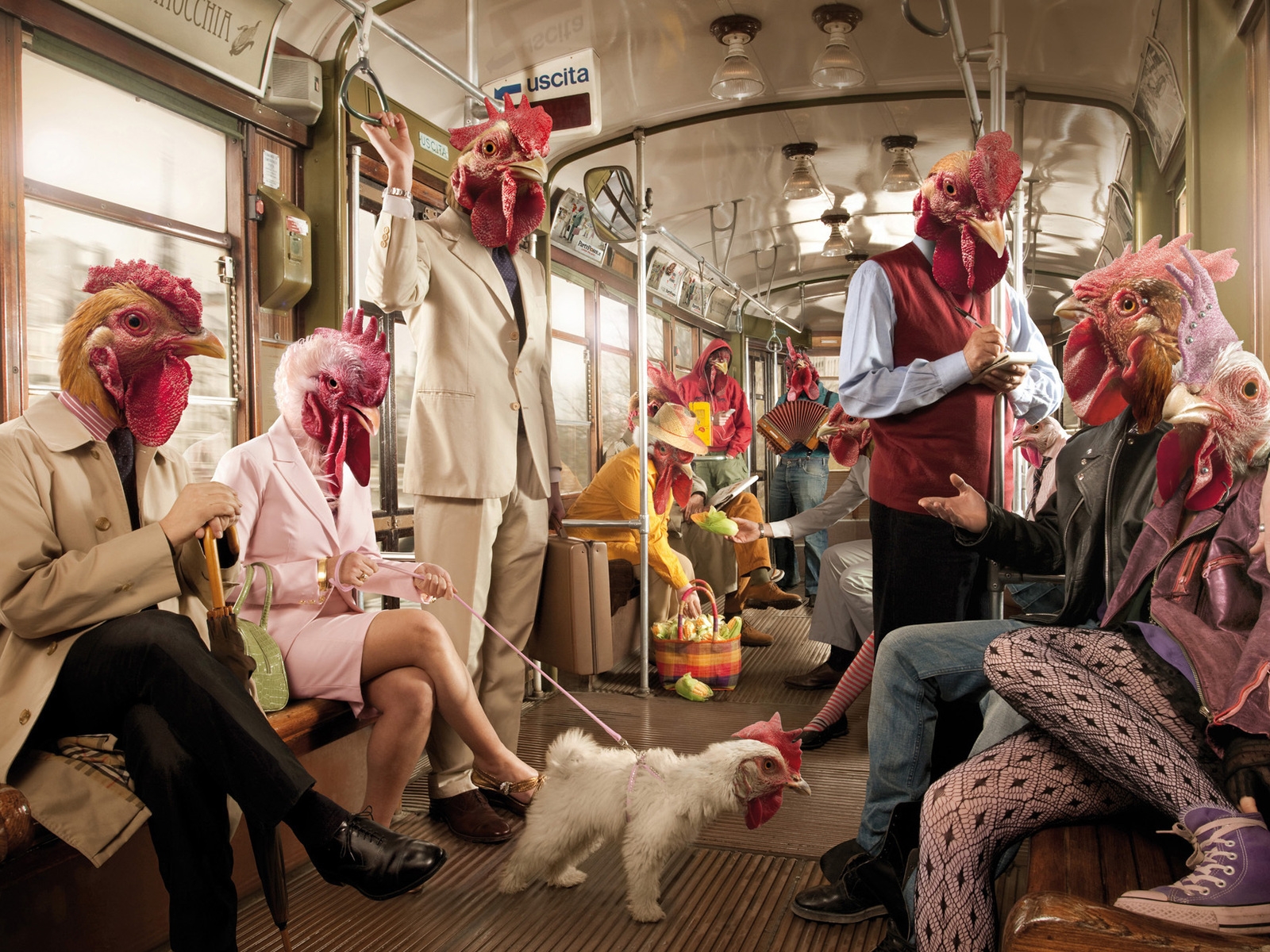 Chicken Passengers for 1600 x 1200 resolution