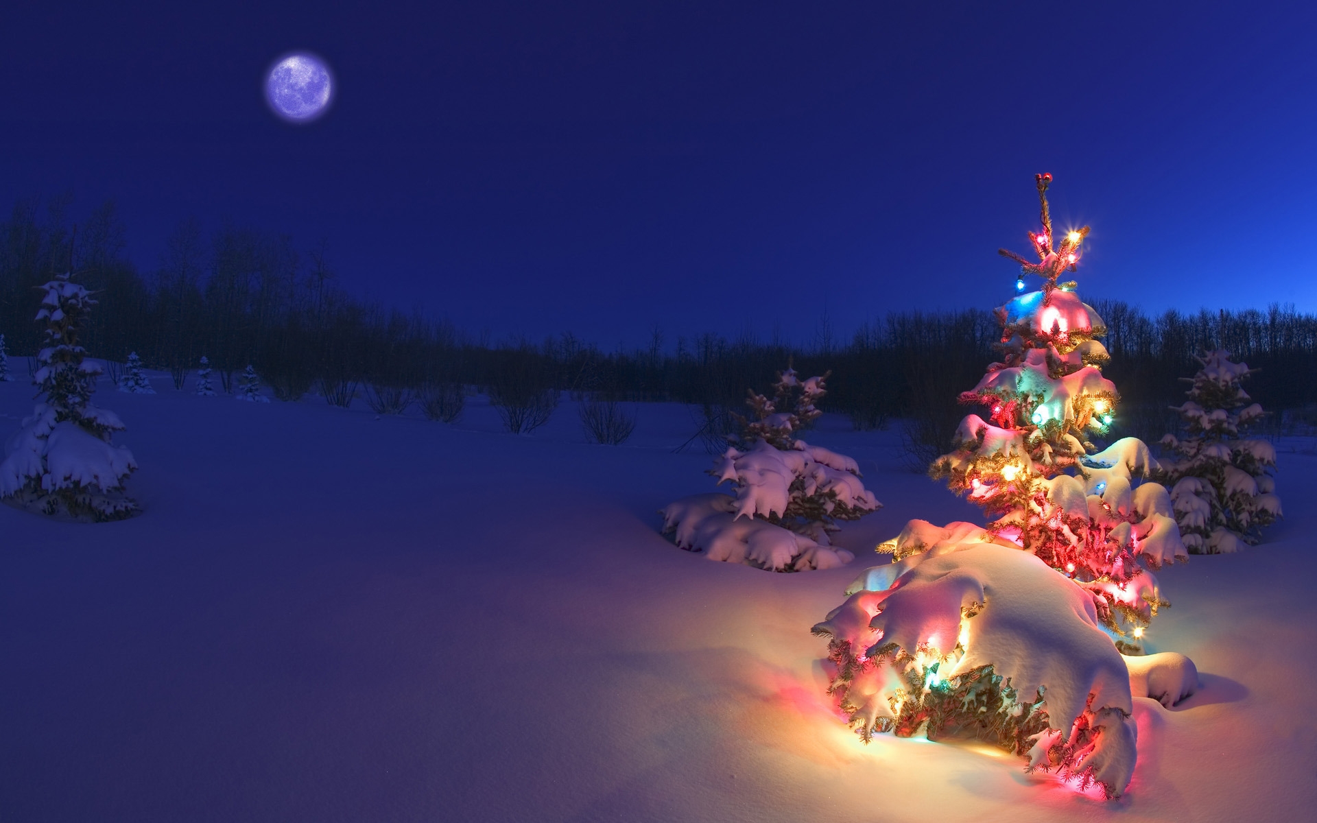 Christmas Tree for 1920 x 1200 widescreen resolution