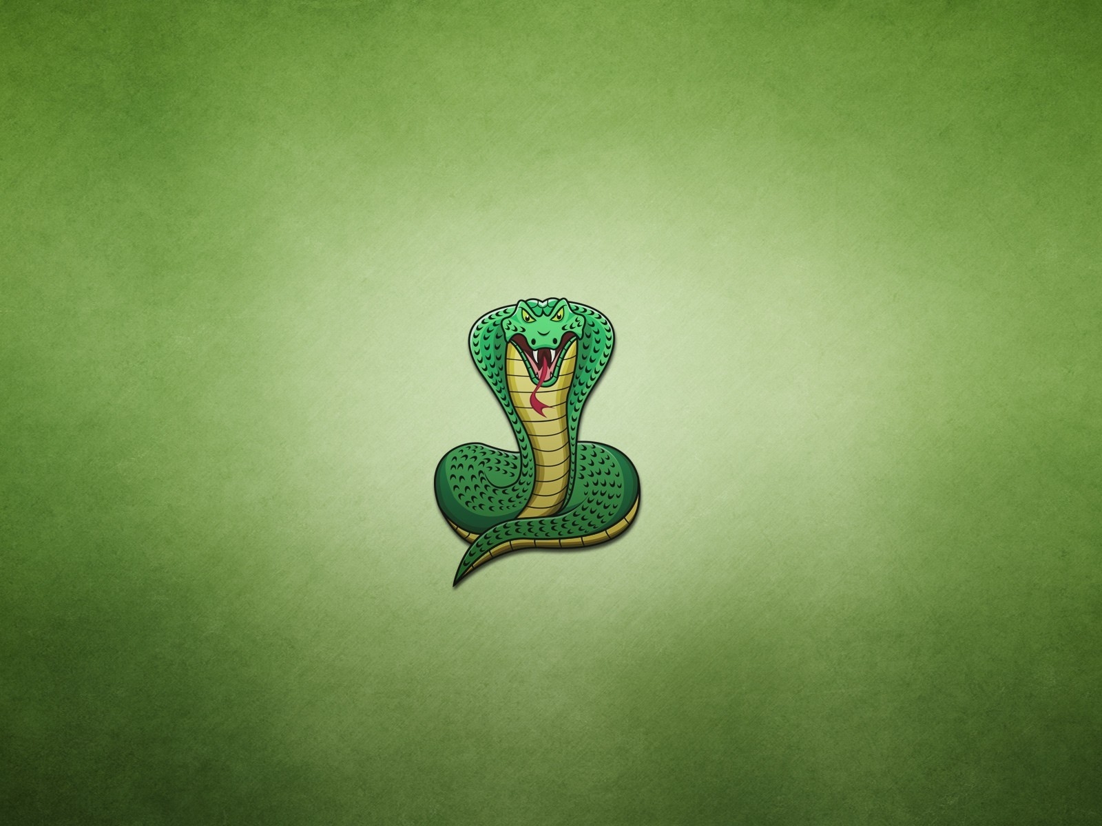 Cobra Snake Drawing for 1600 x 1200 resolution