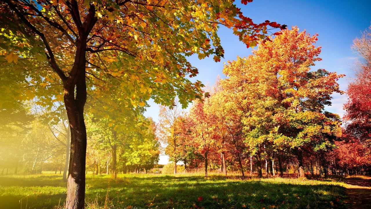 Colorful Autumn Landscape for 1280 x 720 HDTV 720p resolution
