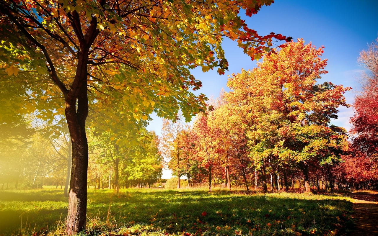 Colorful Autumn Landscape for 1280 x 800 widescreen resolution