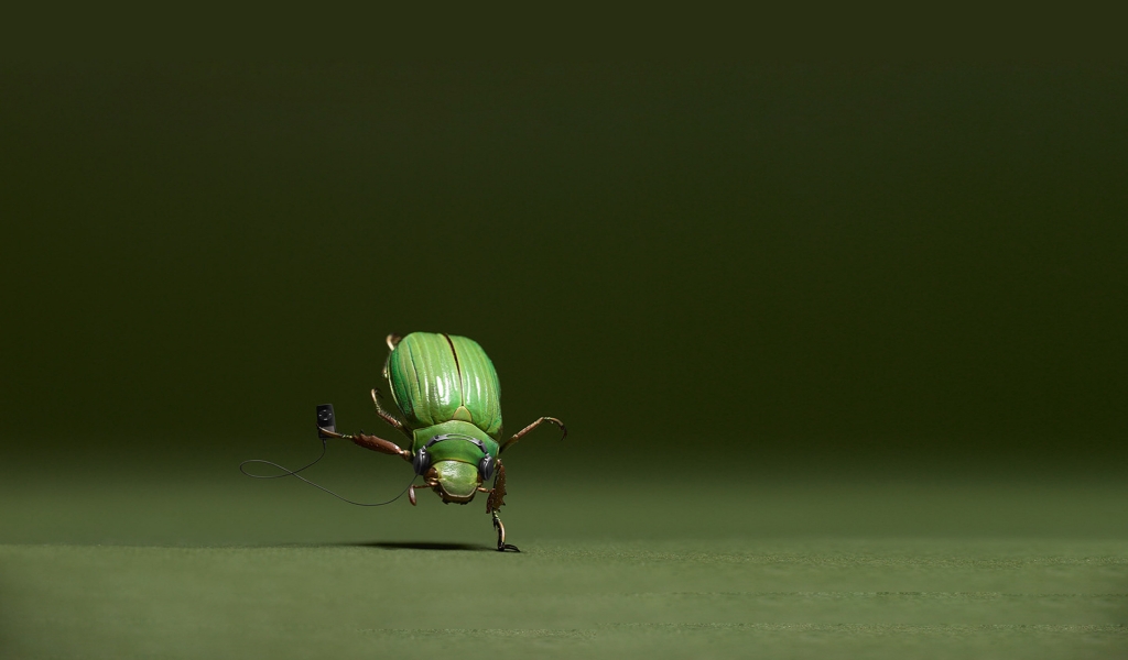 Dancing Bug for 1024 x 600 widescreen resolution