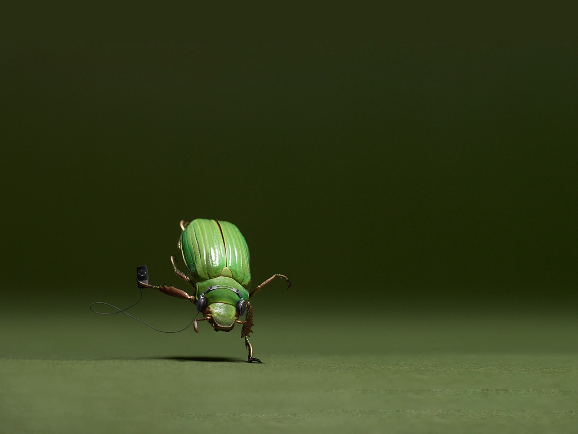 Dancing Bug for 1152 x 864 resolution