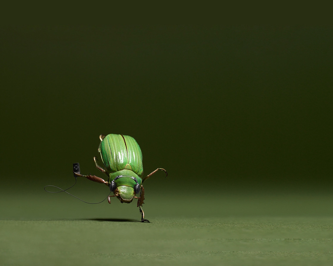 Dancing Bug for 1280 x 1024 resolution