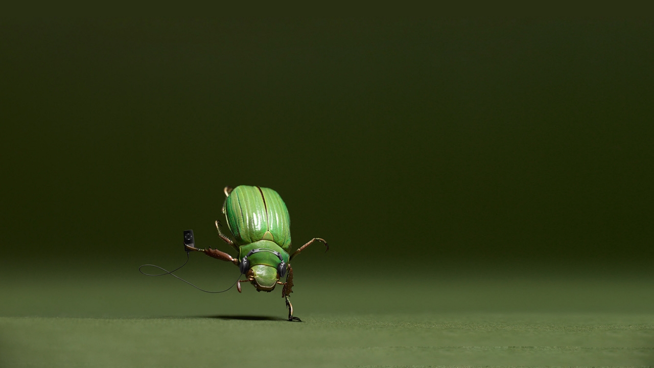 Dancing Bug for 1280 x 720 HDTV 720p resolution