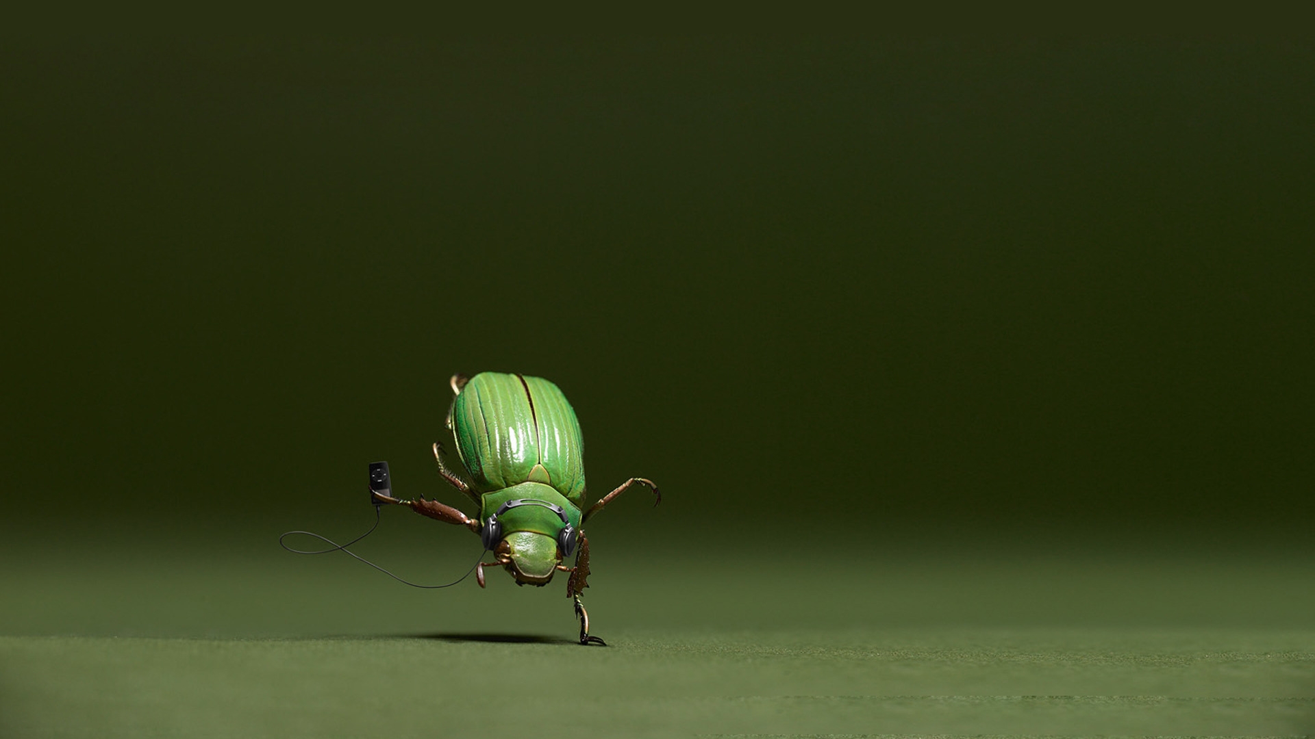 Dancing Bug for 1920 x 1080 HDTV 1080p resolution