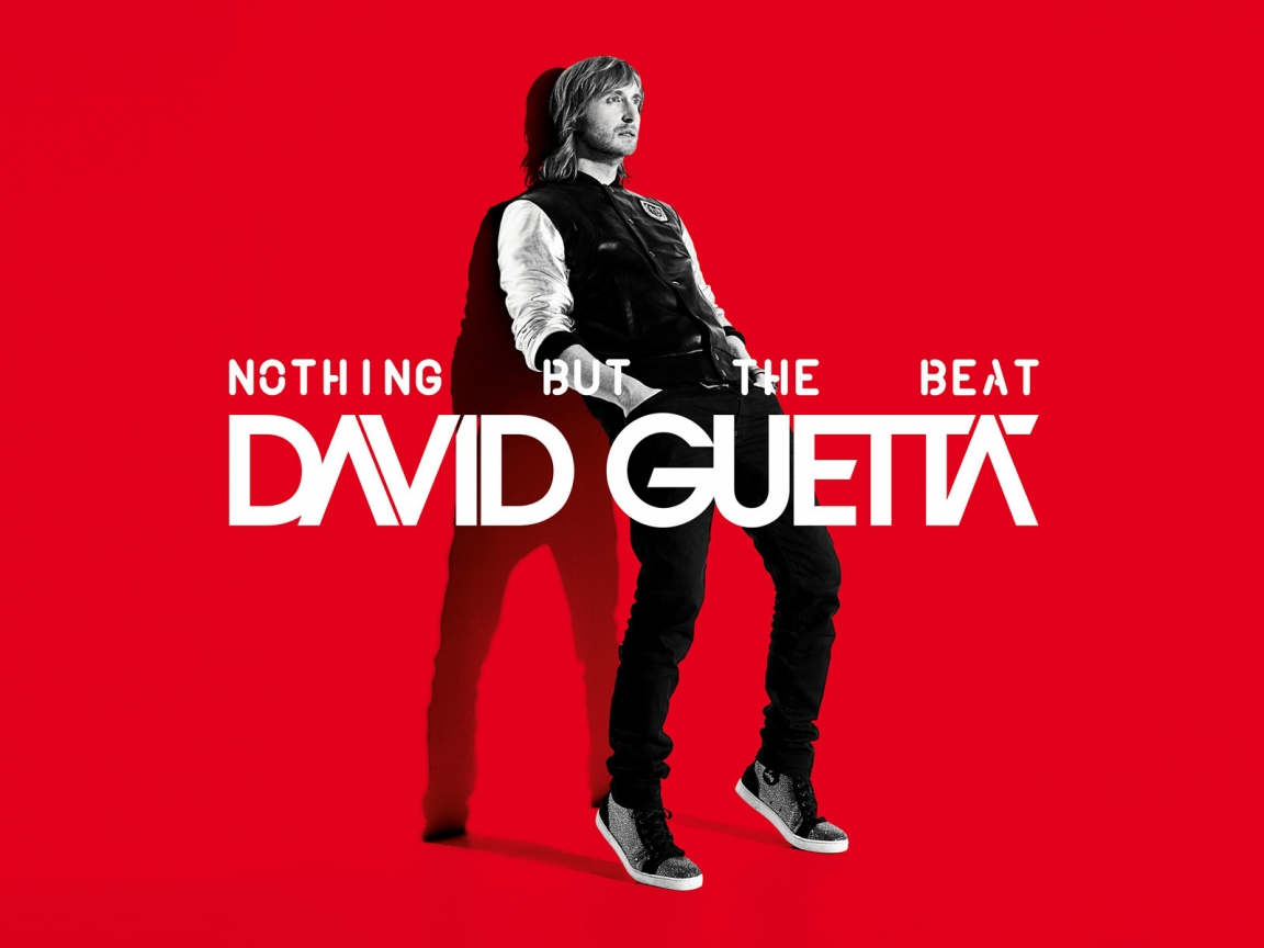 David Guetta Nothing But the Beat for 1152 x 864 resolution