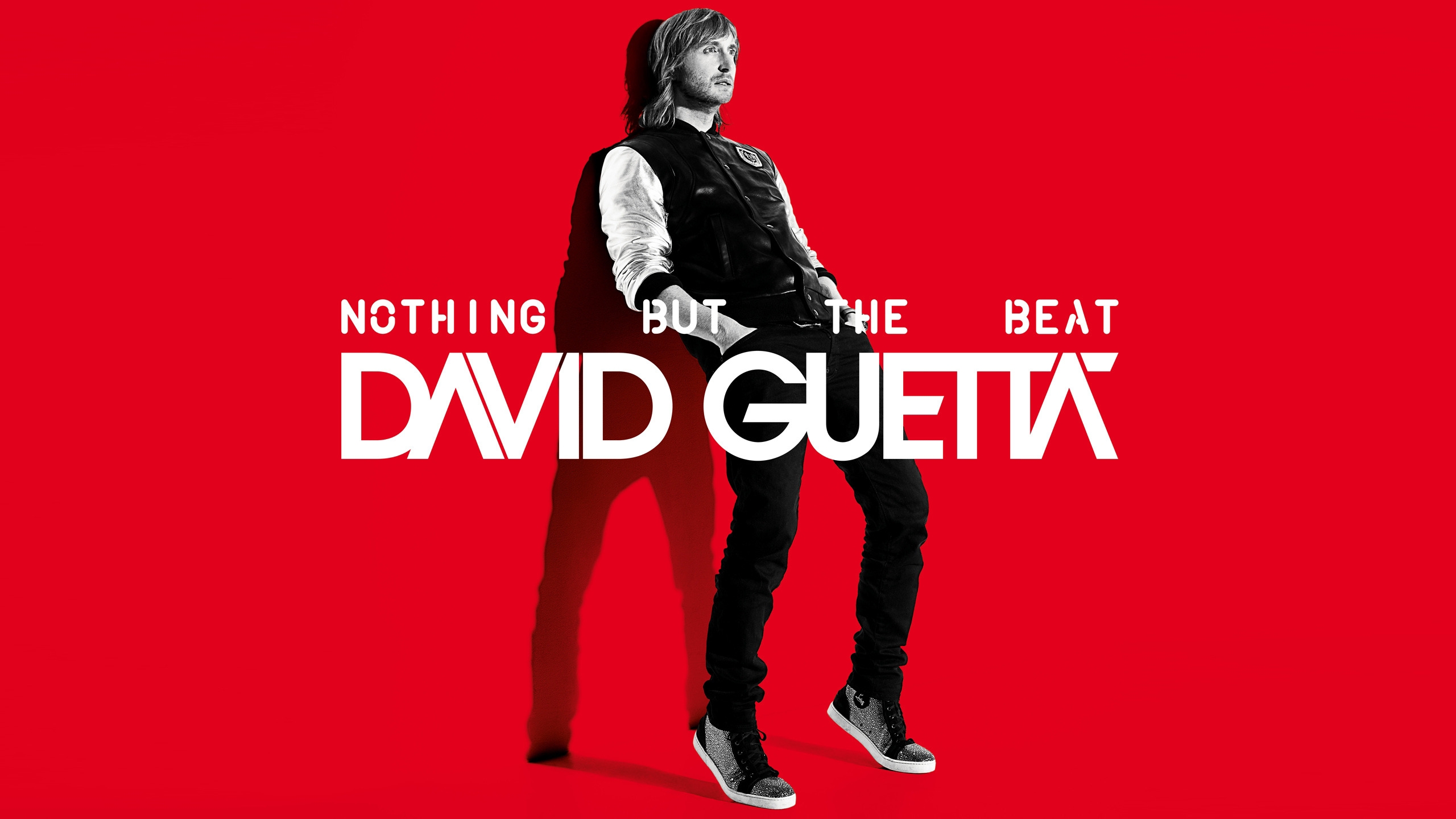 David Guetta Nothing But the Beat for 2560x1440 HDTV resolution