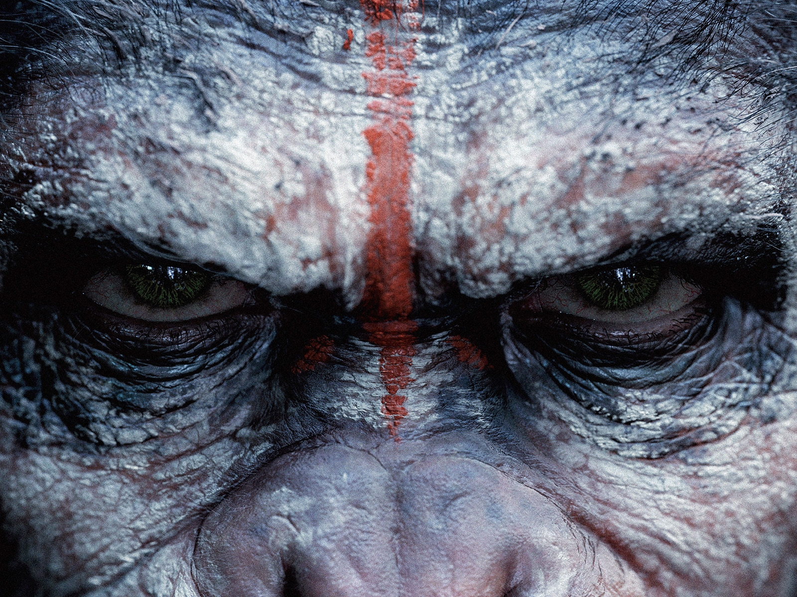 Dawn of the Planet of the Apes for 1600 x 1200 resolution