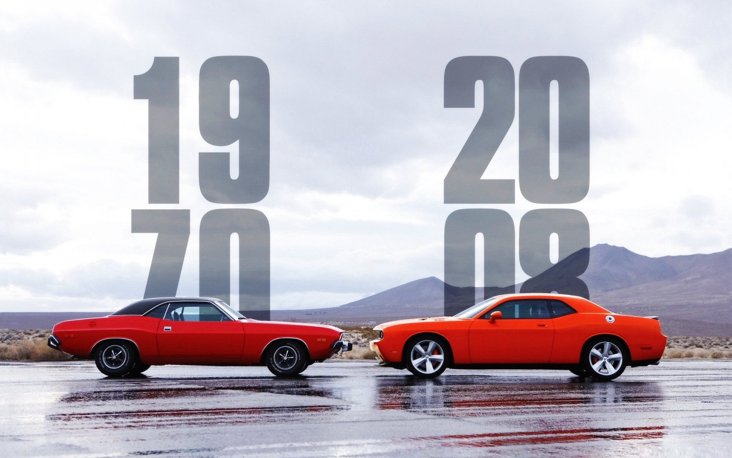 Dodge Challenger 1970 2008 for 1440 x 900 widescreen resolution