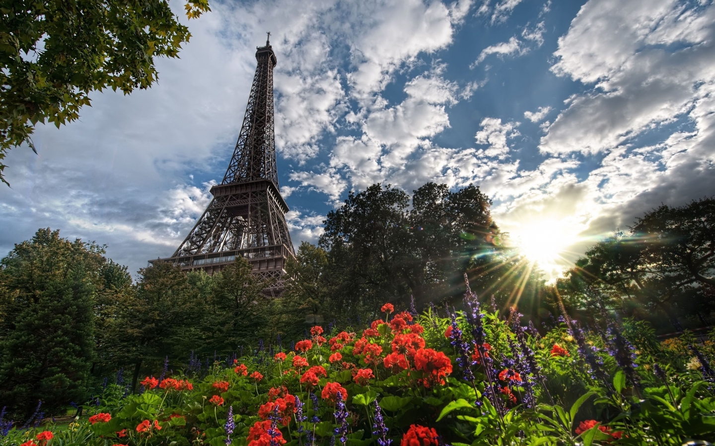 Eiffel Tower Surrounded by Flowers for 1440 x 900 widescreen resolution