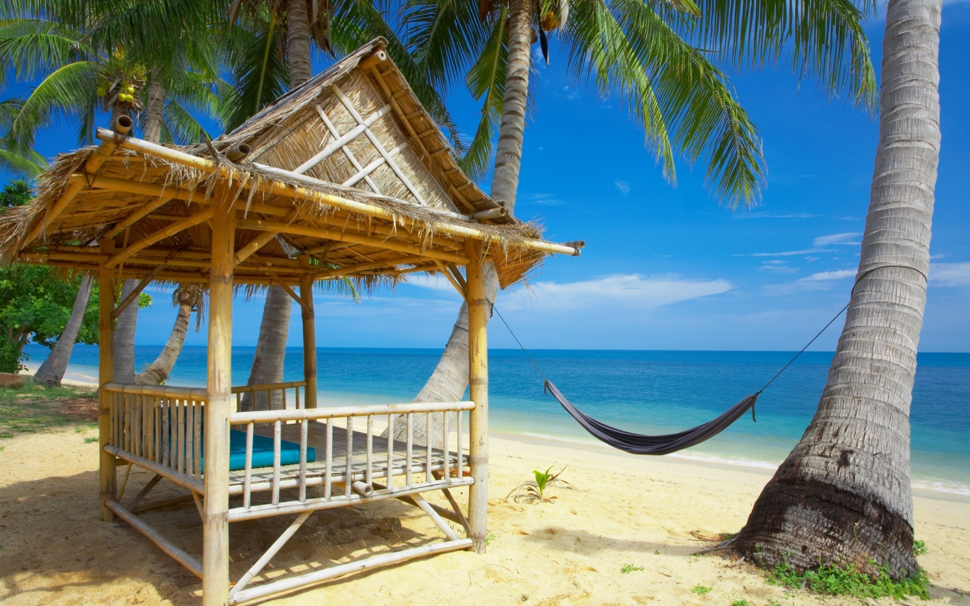 Exotic Beach and Accessories for 1920 x 1200 widescreen resolution