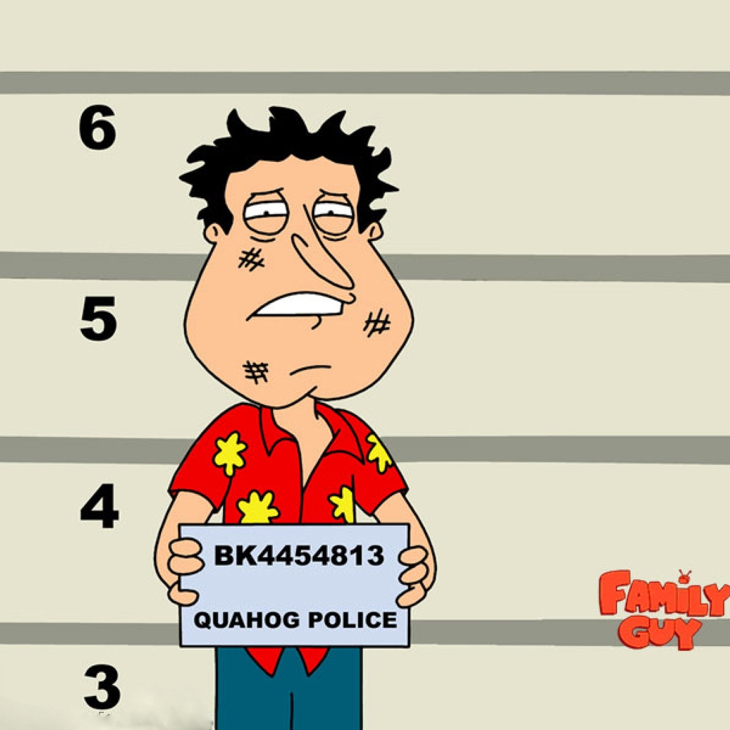 Family Guy Quagmire for 1024 x 1024 iPad resolution