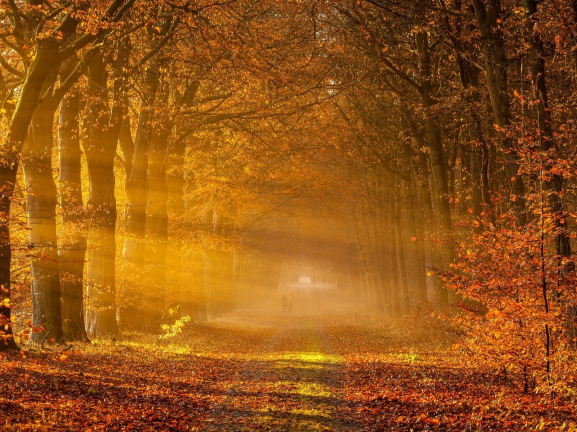 Fantastic Autumn Landscape for 1152 x 864 resolution