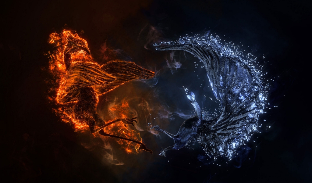 Fire and Water Bird for 1024 x 600 widescreen resolution