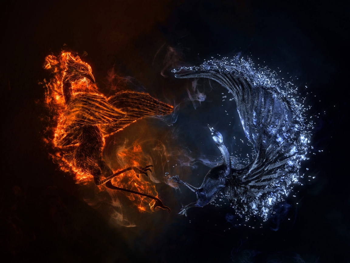 Fire and Water Bird for 1152 x 864 resolution