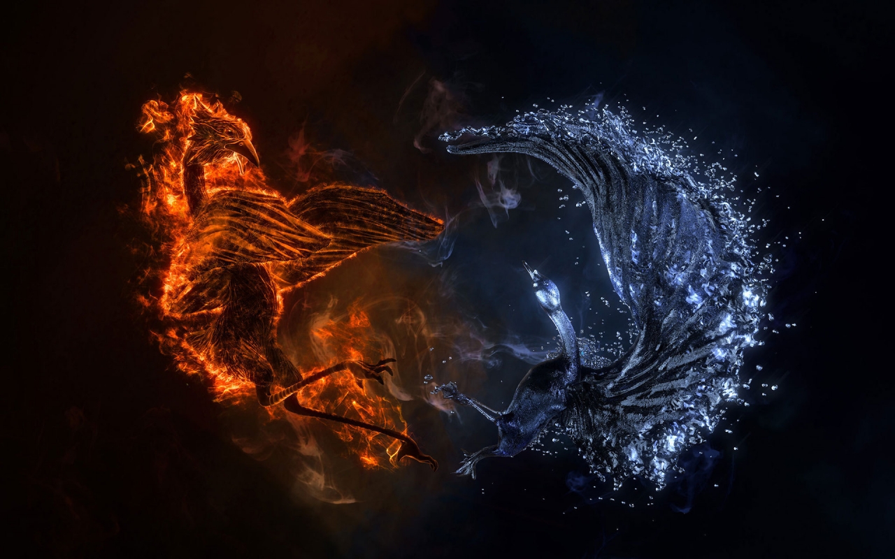 Fire and Water Bird for 1280 x 800 widescreen resolution