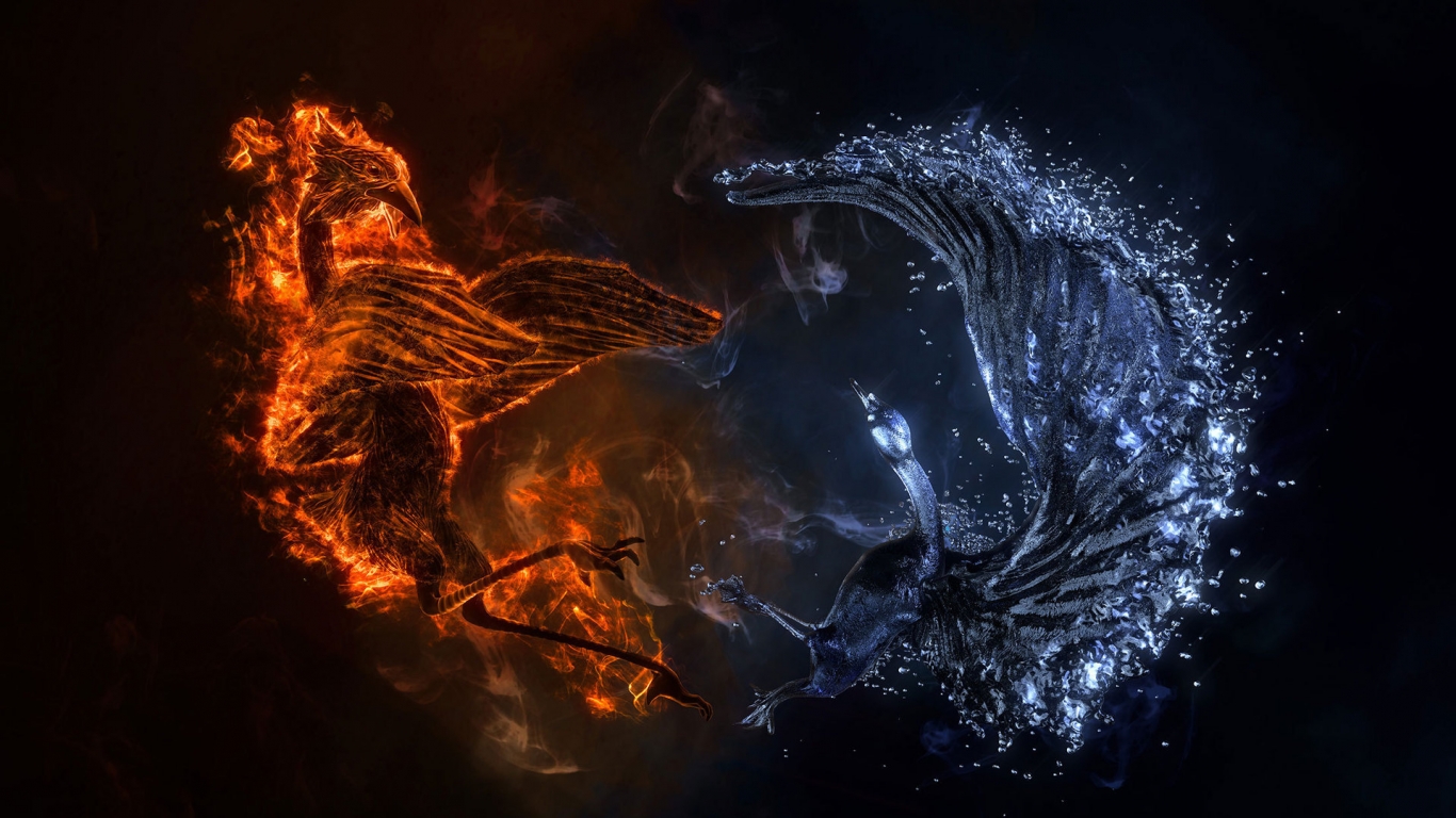 Fire and Water Bird for 1366 x 768 HDTV resolution