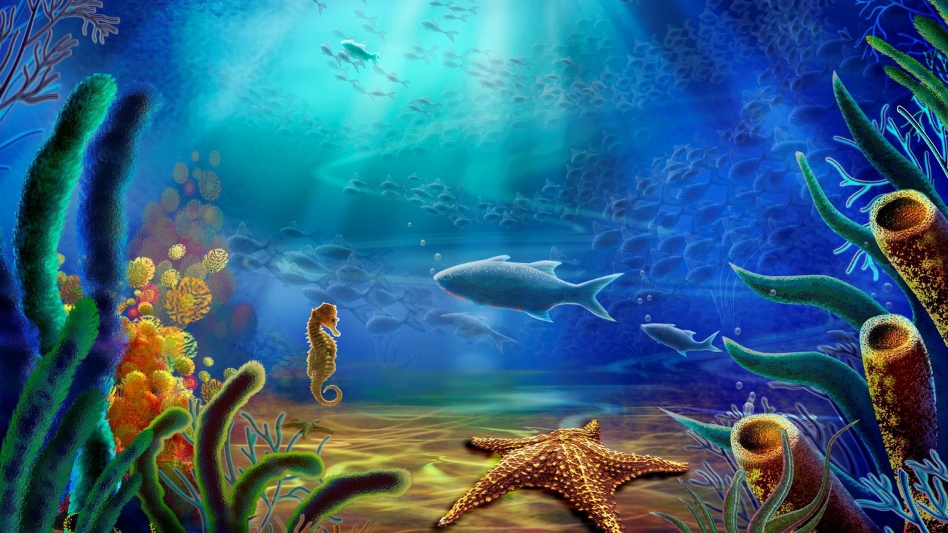 Fish and Sea Horse and Starfish for 1366 x 768 HDTV resolution