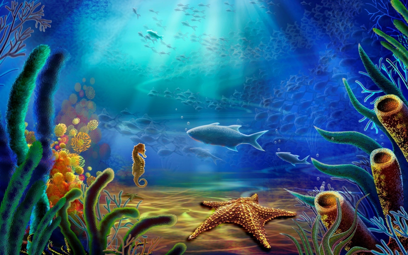 Fish and Sea Horse and Starfish for 1680 x 1050 widescreen resolution