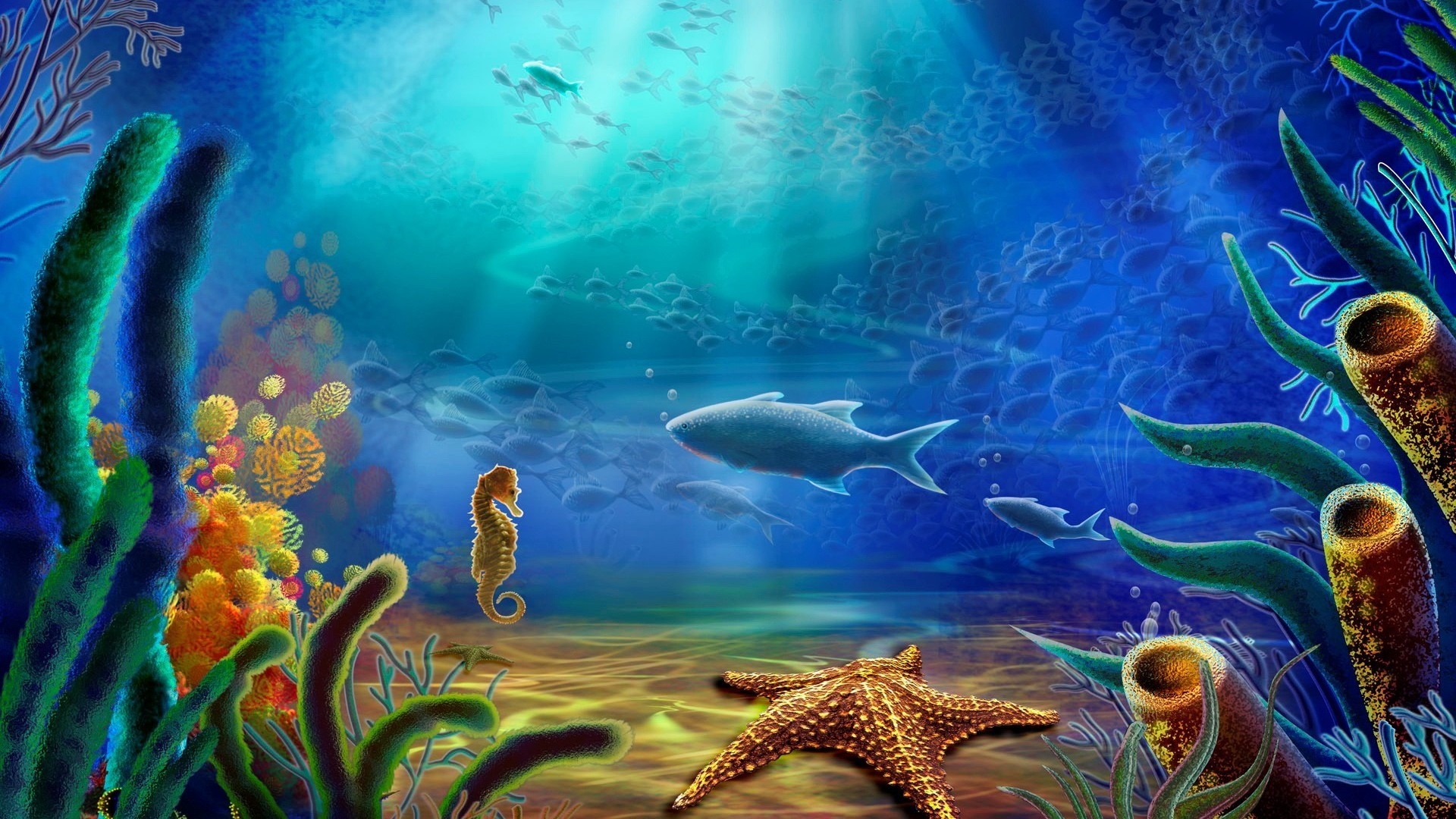 Fish and Sea Horse and Starfish for 1920 x 1080 HDTV 1080p resolution