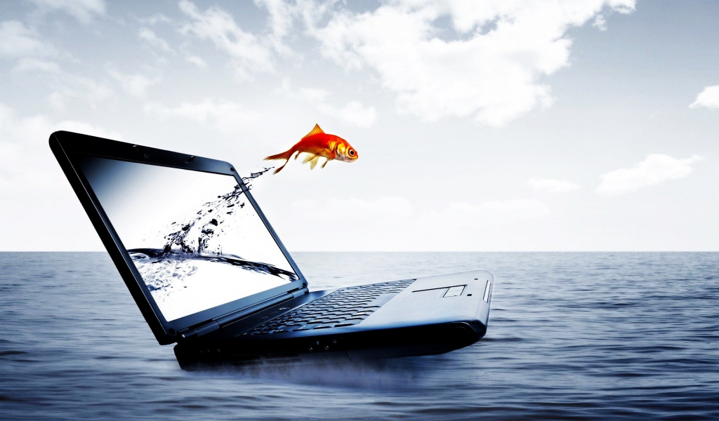 Fish Jump From Notebook for 1024 x 600 widescreen resolution