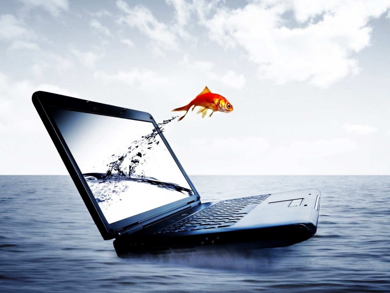 Fish Jump From Notebook for 1280 x 960 resolution