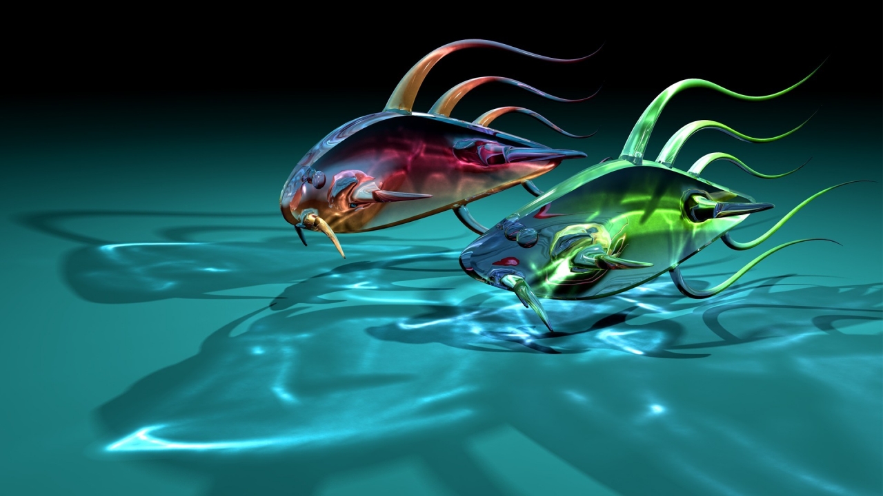 Fishes Race for 1280 x 720 HDTV 720p resolution