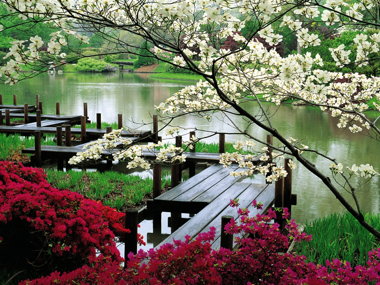 Flower Park for 1280 x 960 resolution