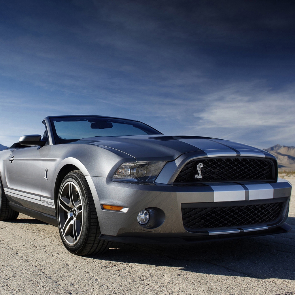 Ford Mustang Shelby for 1024 x 1024 iPad resolution