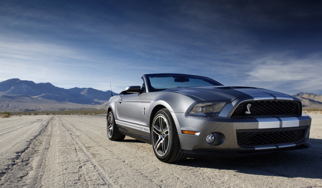 Ford Mustang Shelby for 1024 x 600 widescreen resolution