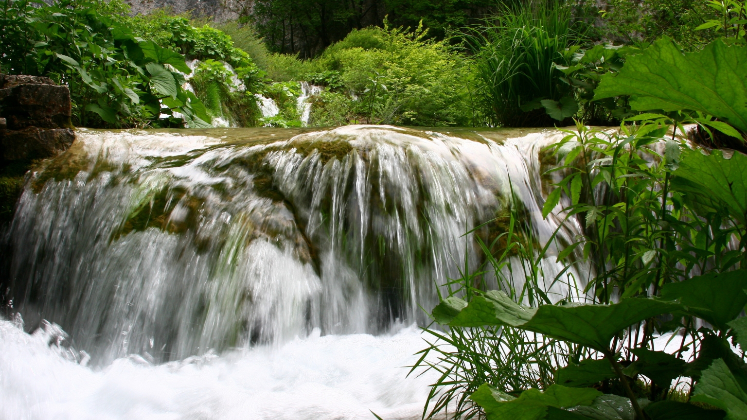 Forest Waterfall for 1536 x 864 HDTV resolution
