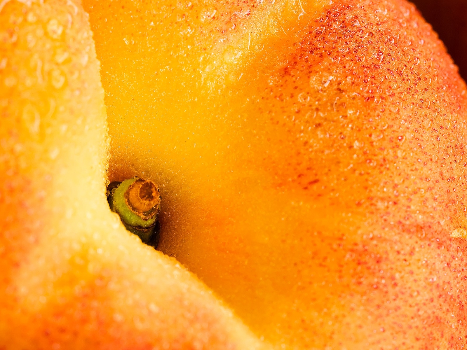 Fresh Peach for 1600 x 1200 resolution