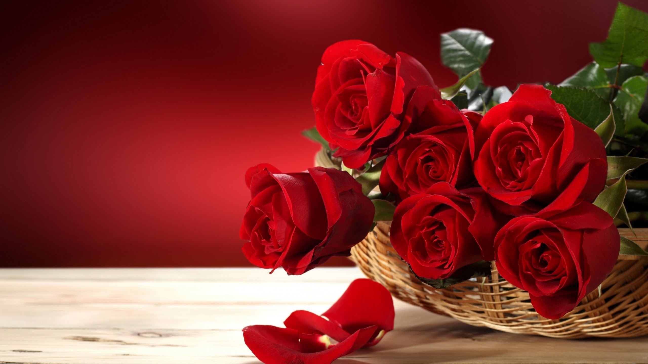Fresh Red Roses for 2560x1440 HDTV resolution