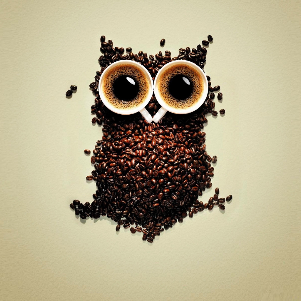 Funny Coffee Owl for 1024 x 1024 iPad resolution