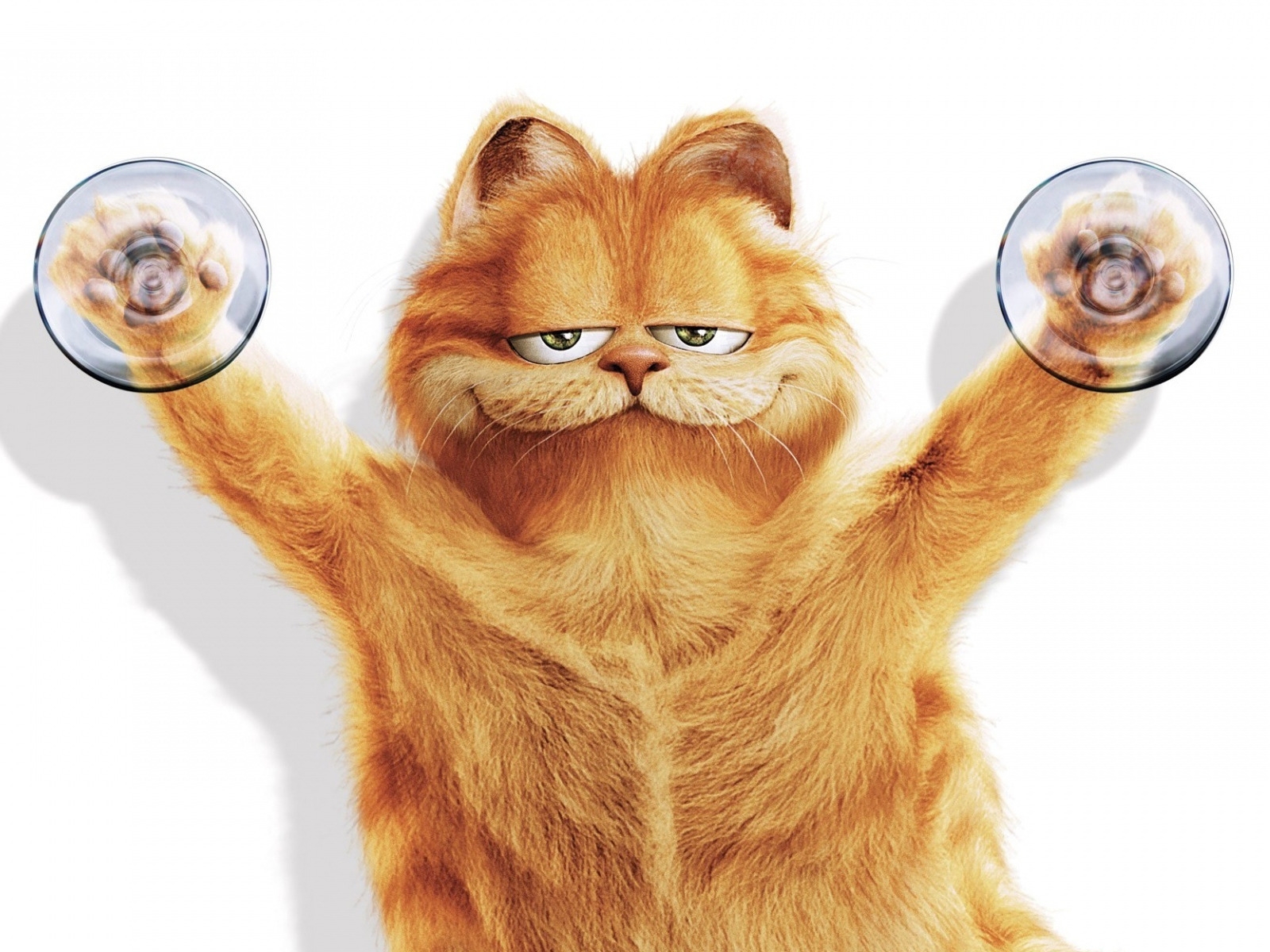 Garfield for 1600 x 1200 resolution