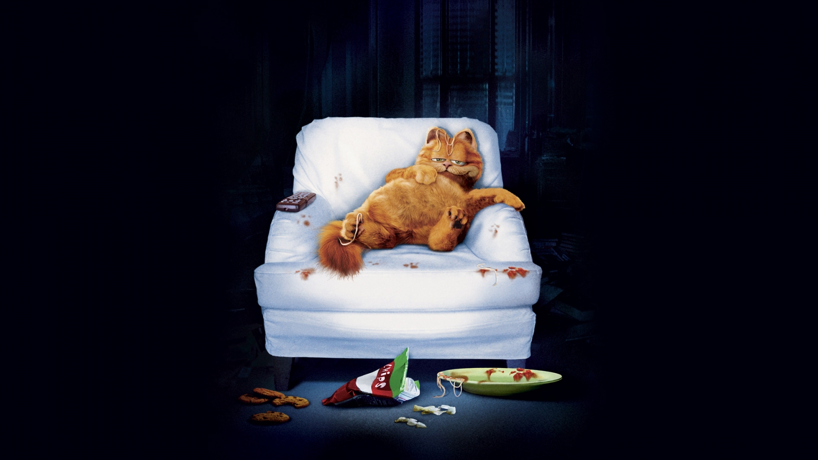 Garfield Lazy Cat for 1600 x 900 HDTV resolution