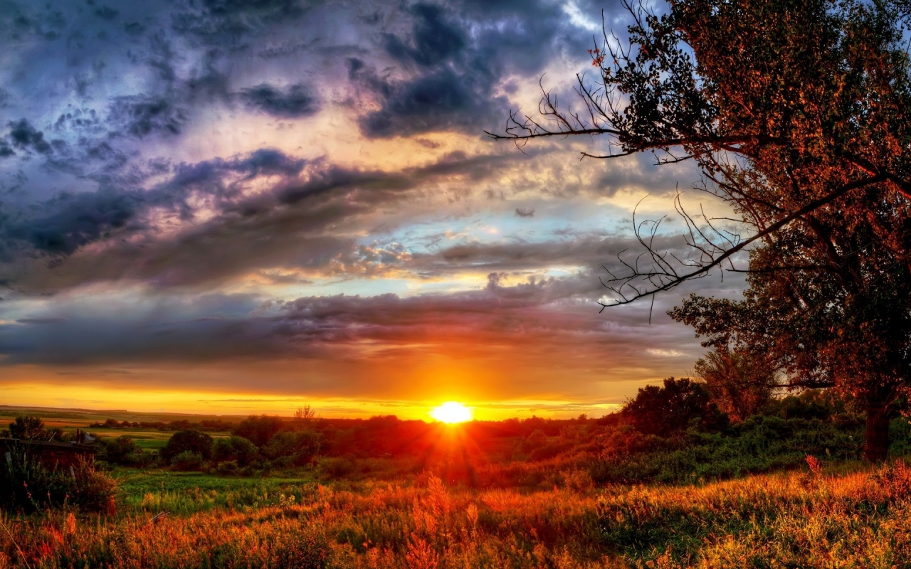 Gorgeous Autumn Sunset for 1280 x 800 widescreen resolution