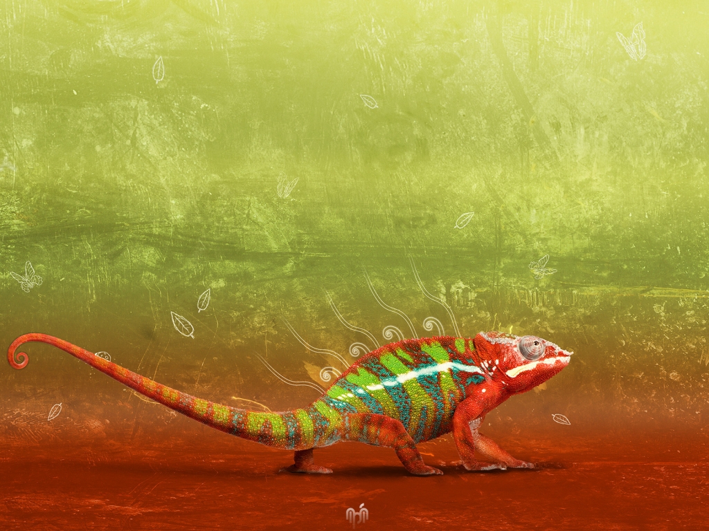 Great Chameleon for 1024 x 768 resolution