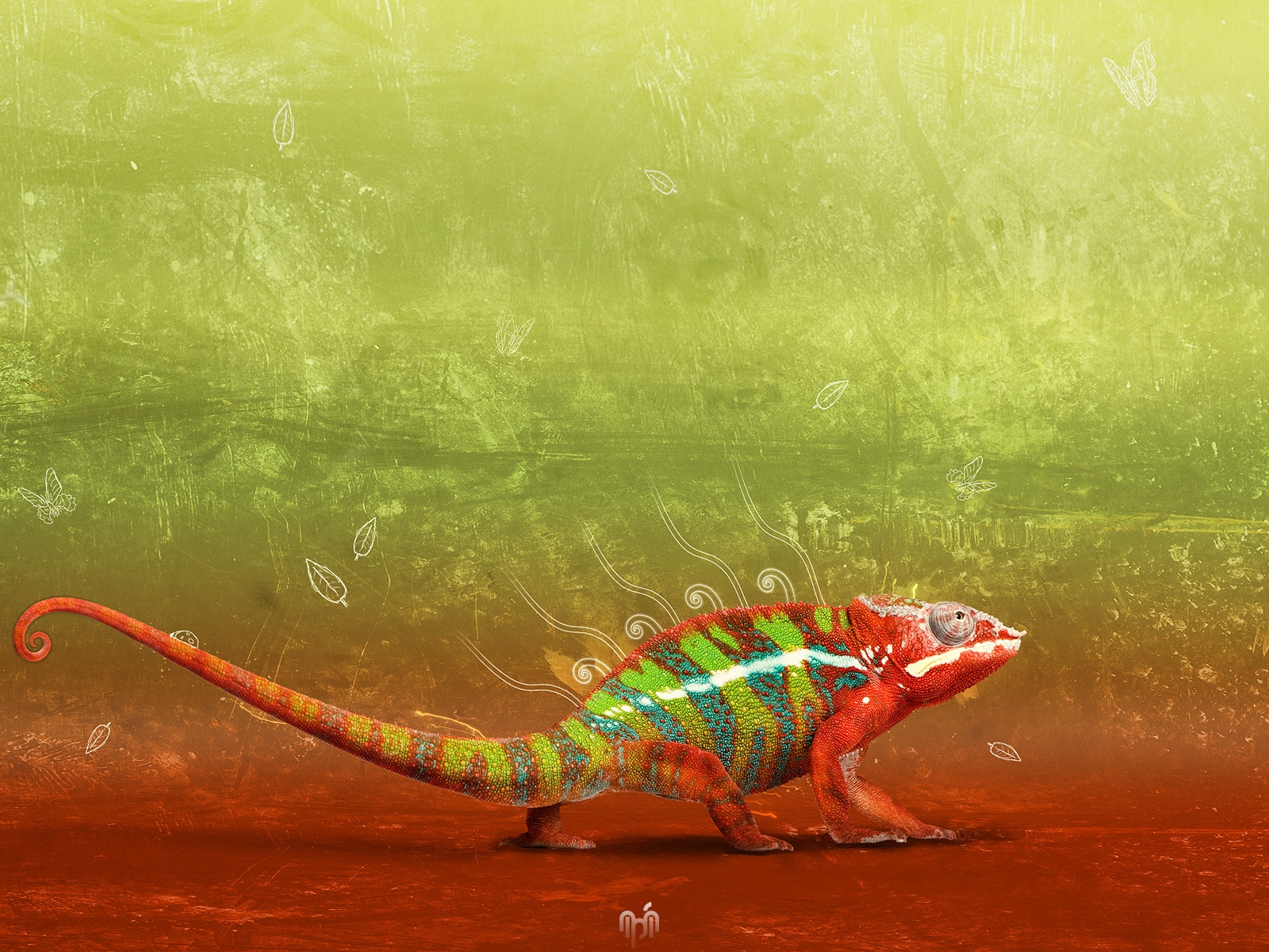 Great Chameleon for 1600 x 1200 resolution