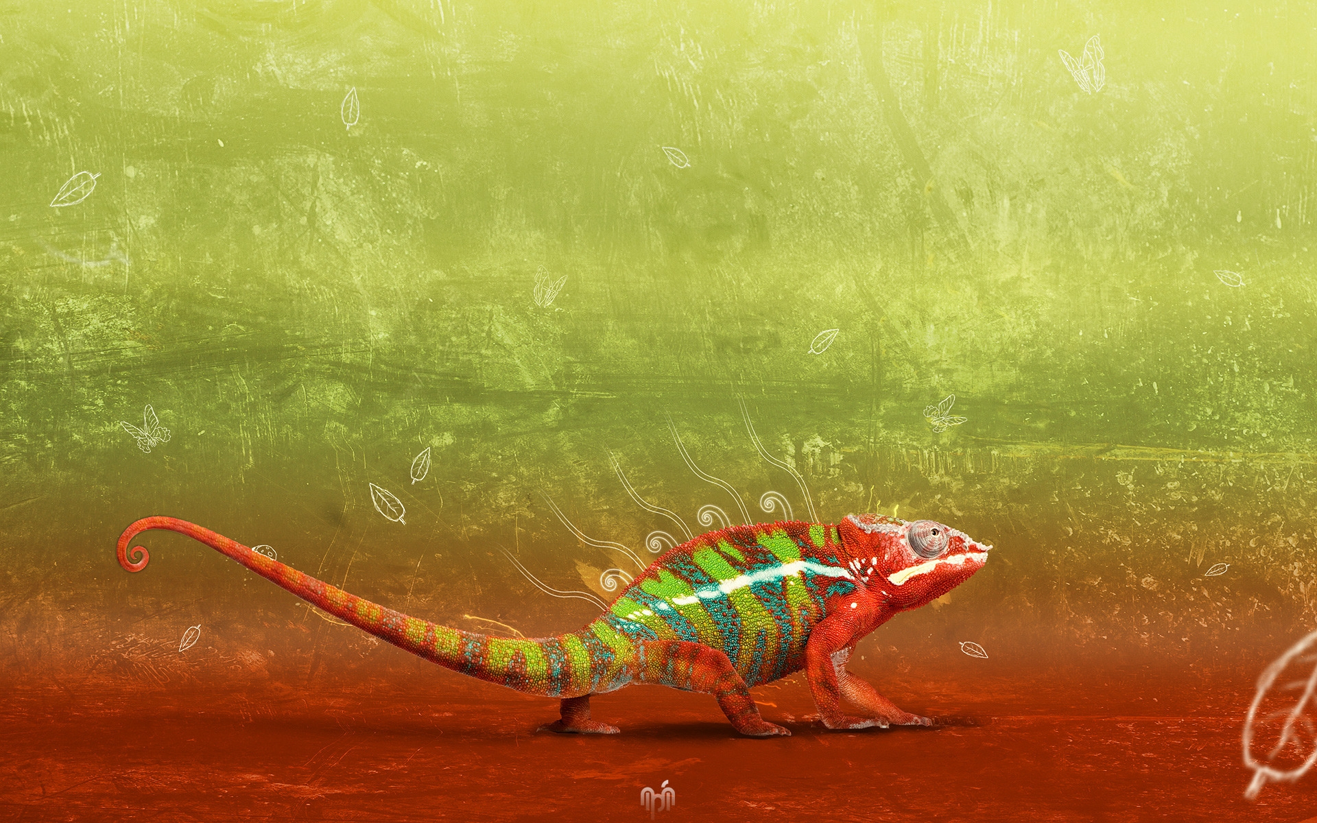 Great Chameleon for 1920 x 1200 widescreen resolution