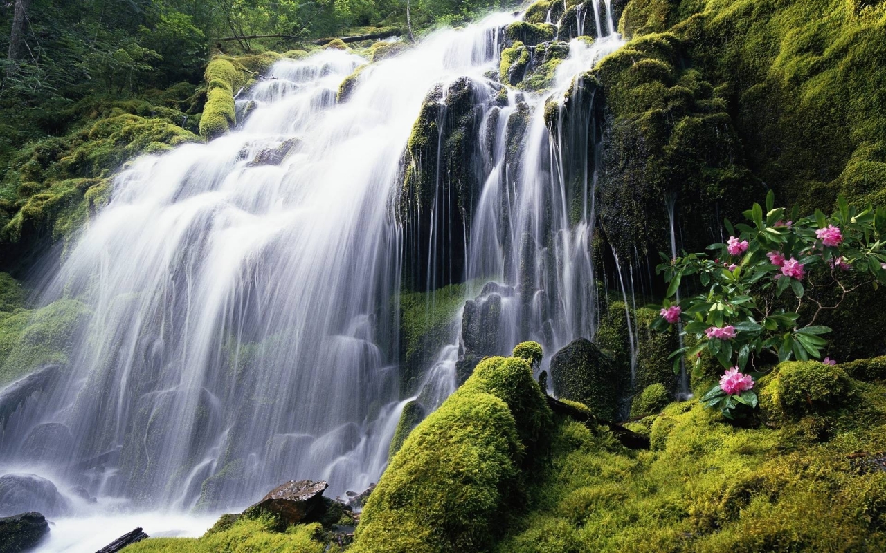 Great Waterfall for 1280 x 800 widescreen resolution
