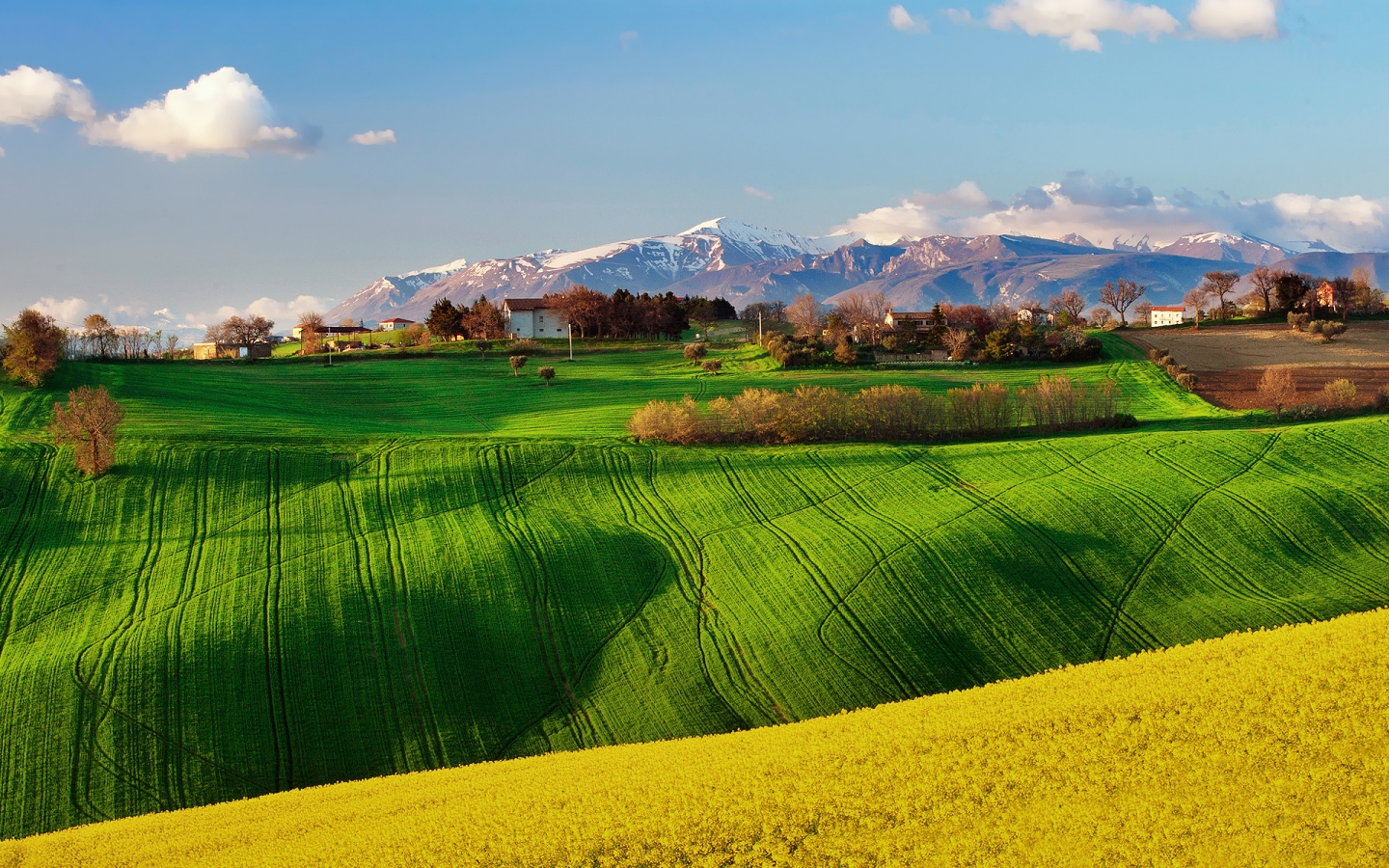 Green Field Landscape for 1440 x 900 widescreen resolution